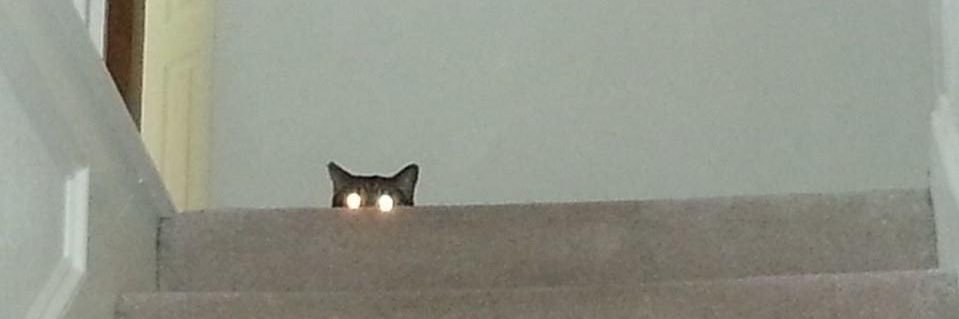 WayneCarter66's profile banner image