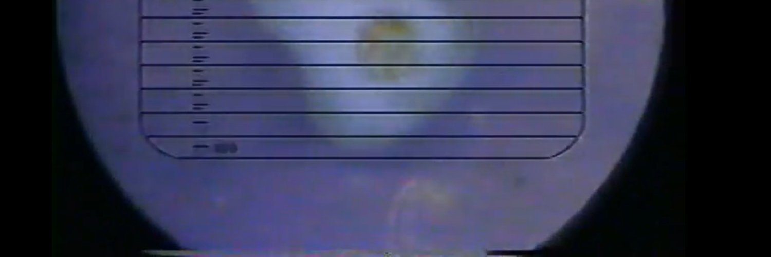 a little bit of this and a little bit of that banner