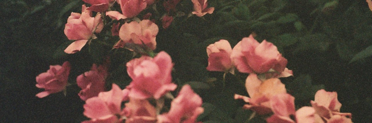 pu_ekaM's profile banner image