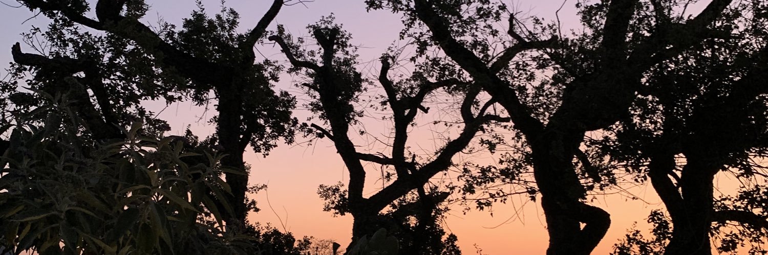 CarilynO's profile banner image