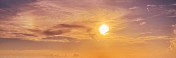 StringerBellle Profile Banner