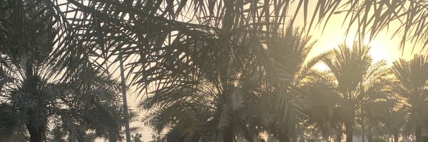 SallyWhittlest1 Profile Banner