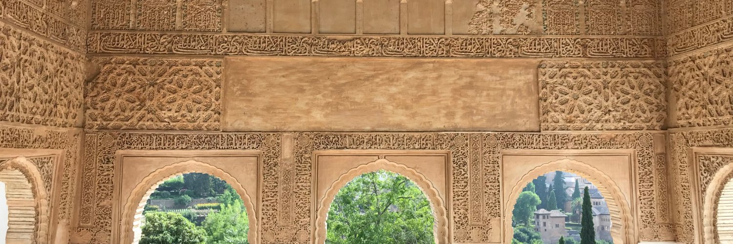 wallisi.eth L• 🐸 🦊🛡️⚡️ banner