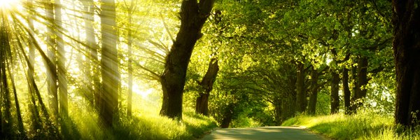 NicoleK_S Profile Banner