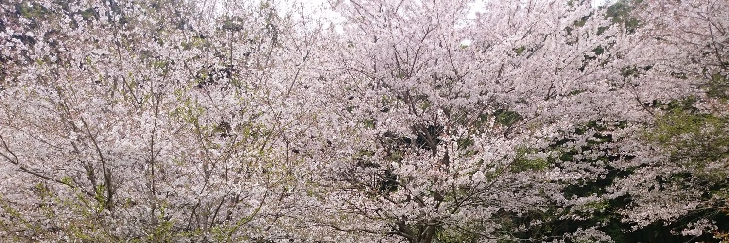 tsuyoppy0710's profile banner image