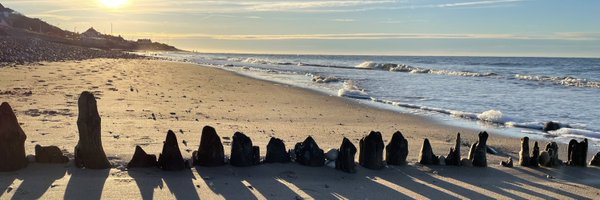 DrTineJess Profile Banner