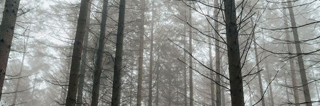 Nova_13's banner