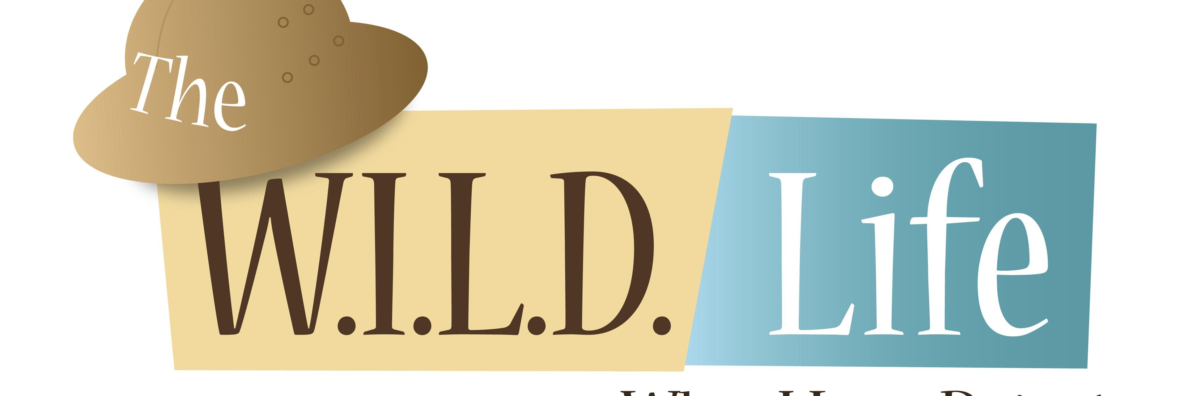 gowildwithben's profile banner image
