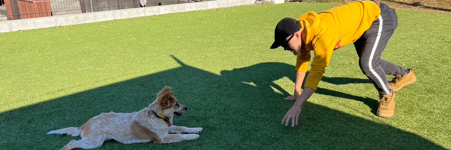 ヨシダシンゴ(吉田真悟) banner