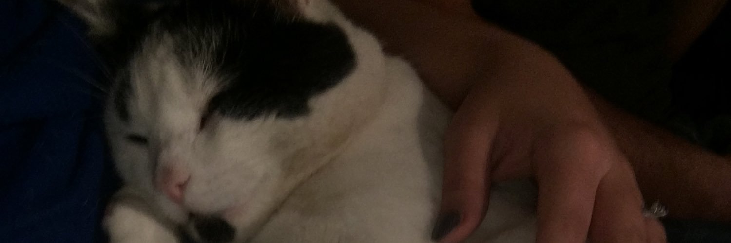 kategeceli's profile banner image