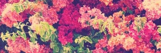 RoriLSC's profile banner image