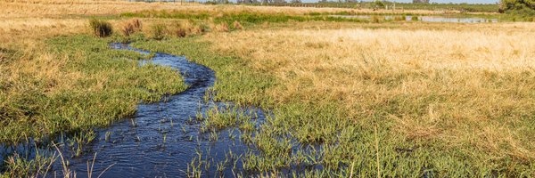 USDA_SWF Profile Banner