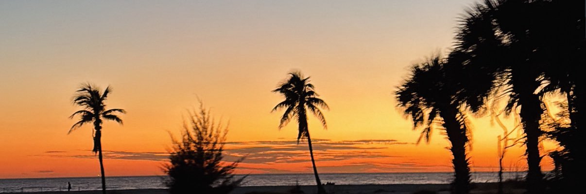 RoseCorwinn's profile banner image