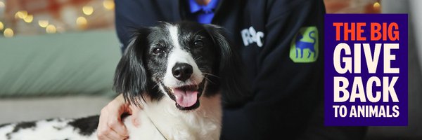 RSPCA_official Profile Banner