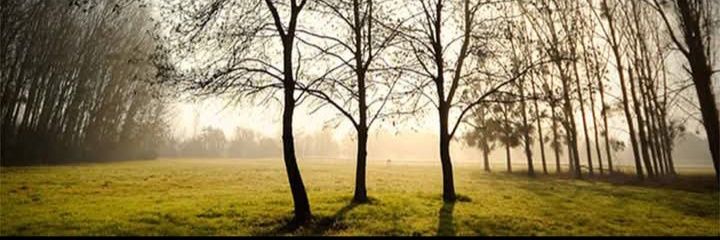 andreavilla0711's profile banner image