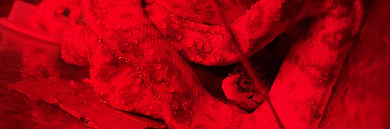 J_katterjohn's profile banner image