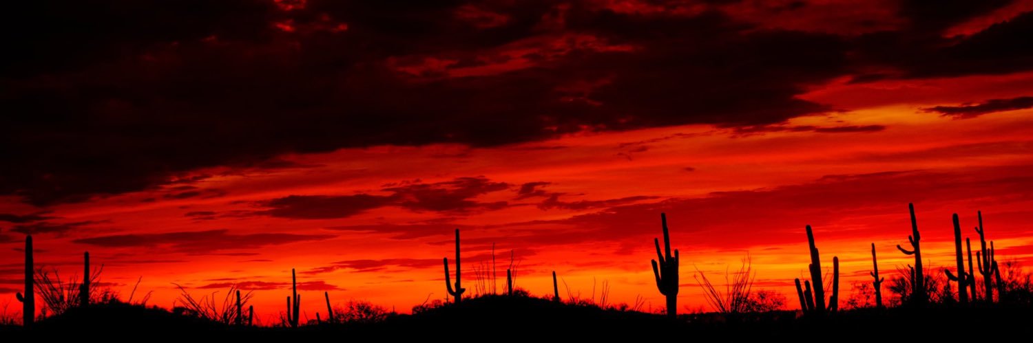 MikeBoelkens's profile banner image