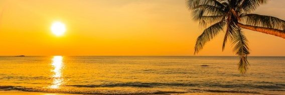 josemcarvalhos's profile banner image