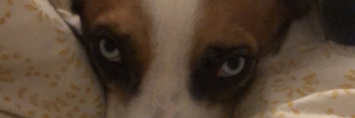 peenitbutt's profile banner image
