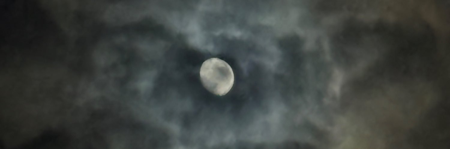 猫科 banner