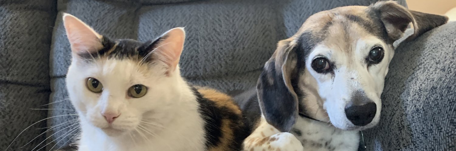 Lexi_M_24's profile banner image