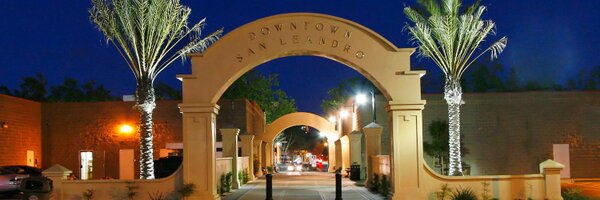 SLNext Profile Banner