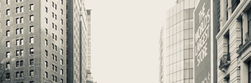 tanni_iia's profile banner image