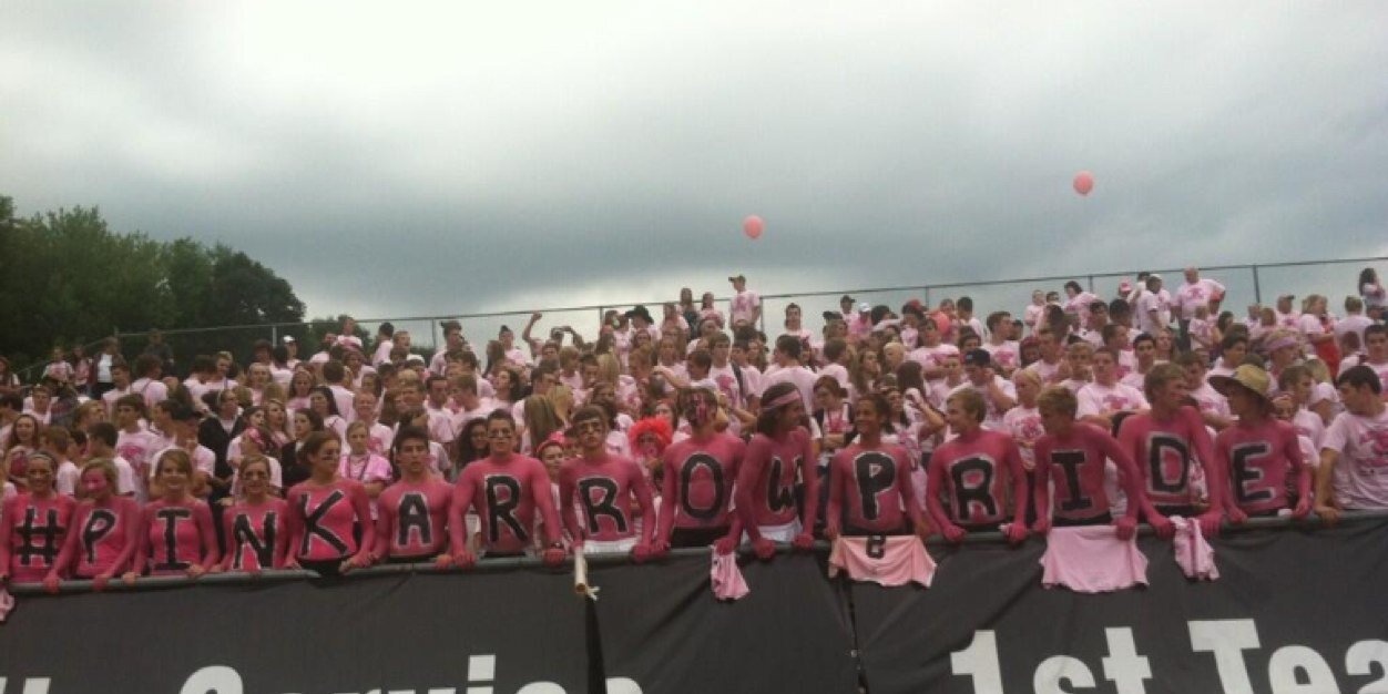 Pink Arrow Pride banner