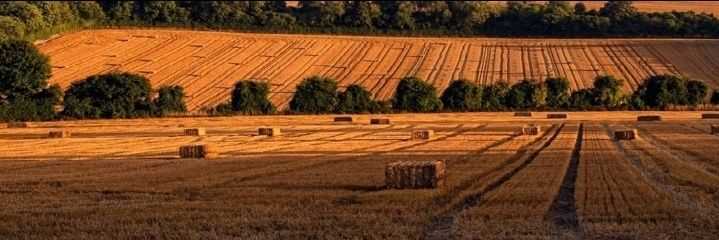 debashish biswas banner