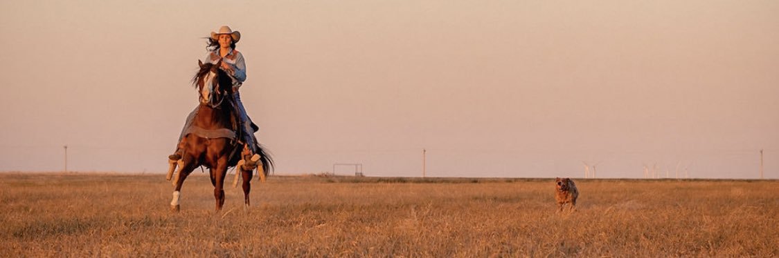 logbecker's profile banner image