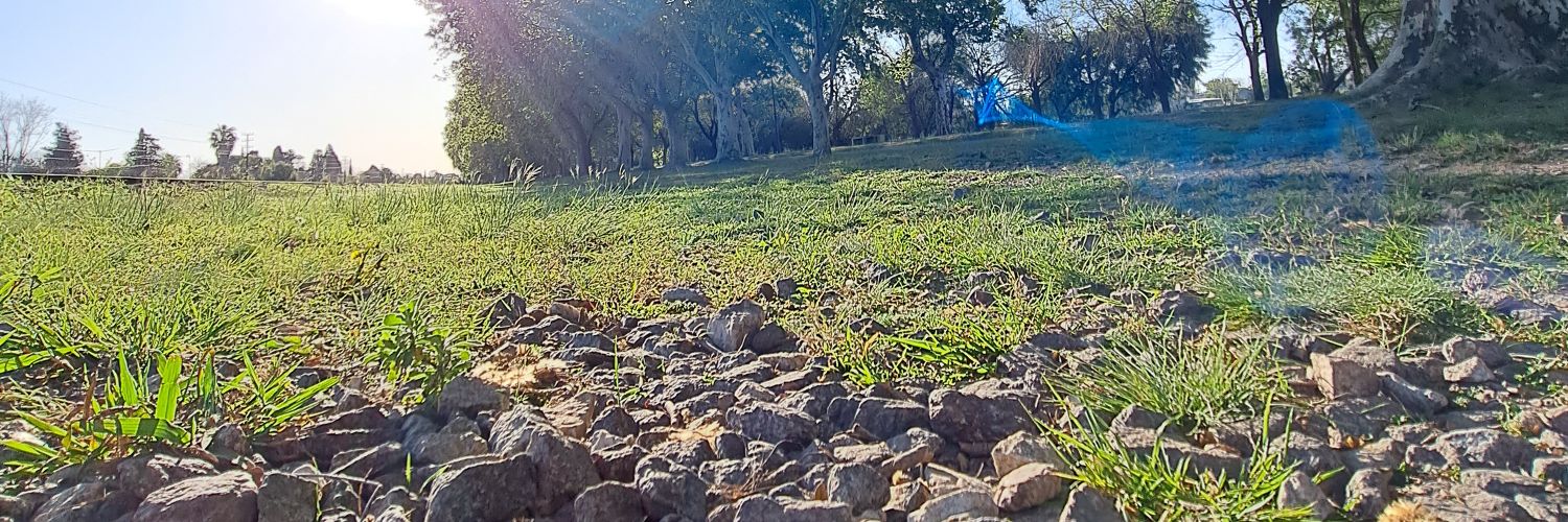 maifernandeez's profile banner image