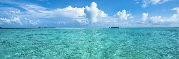 APPGOcean Profile Banner