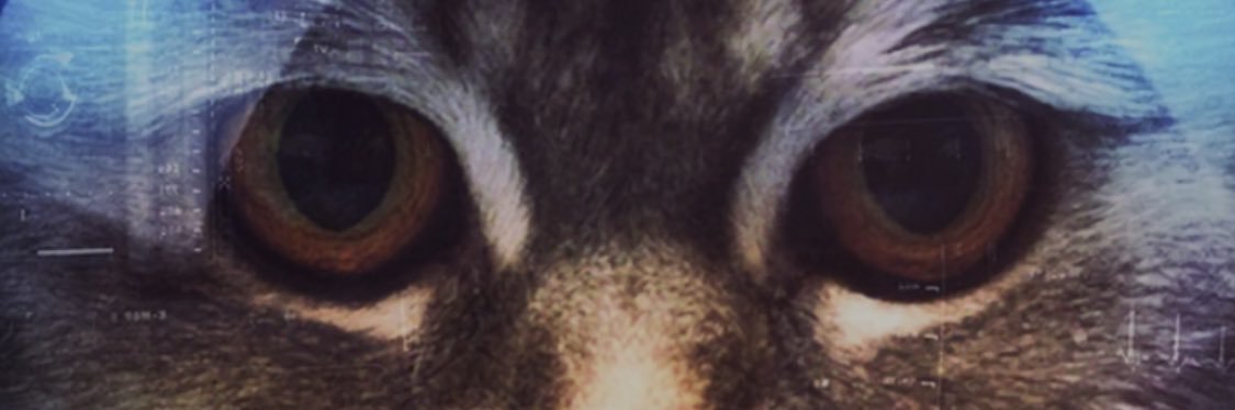 inache's profile banner image