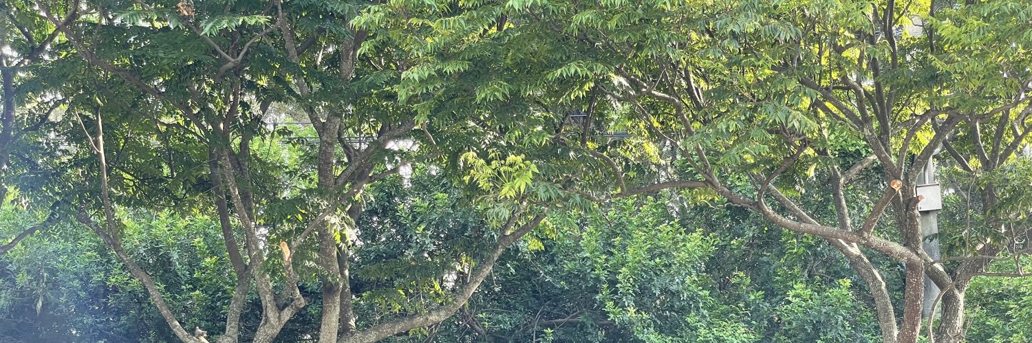 就是喜歡露出 banner