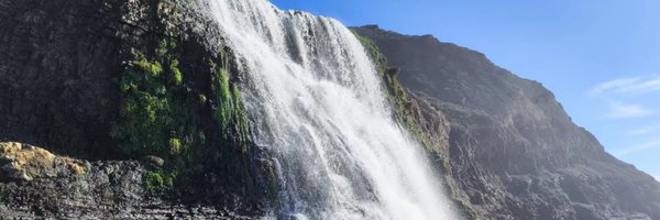 ZhihengLyu Profile Banner