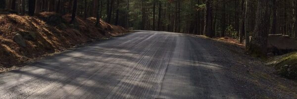 wheretigerswill Profile Banner