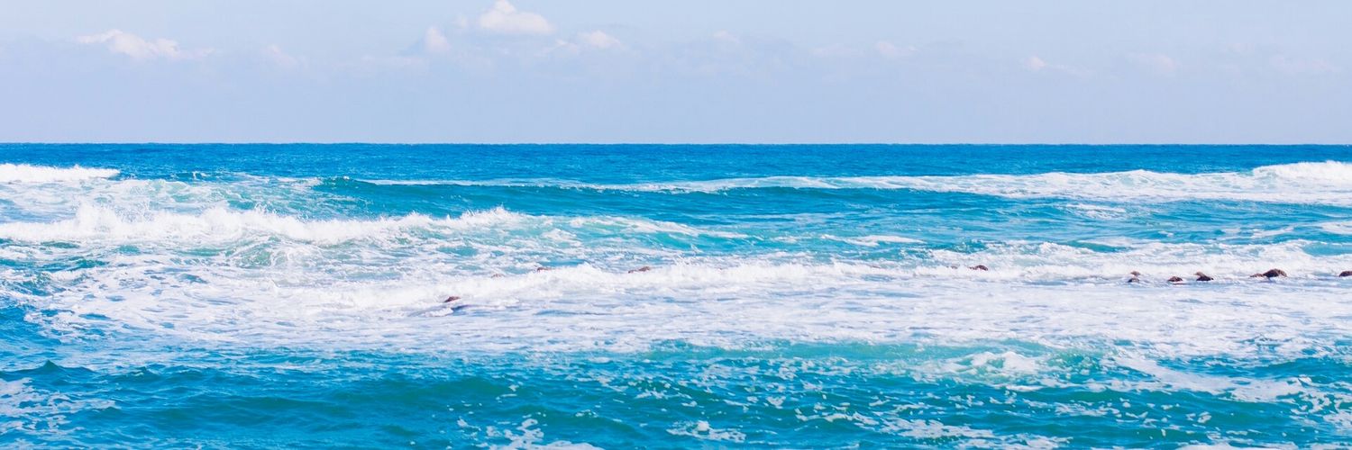 everyjayfiles's profile banner image