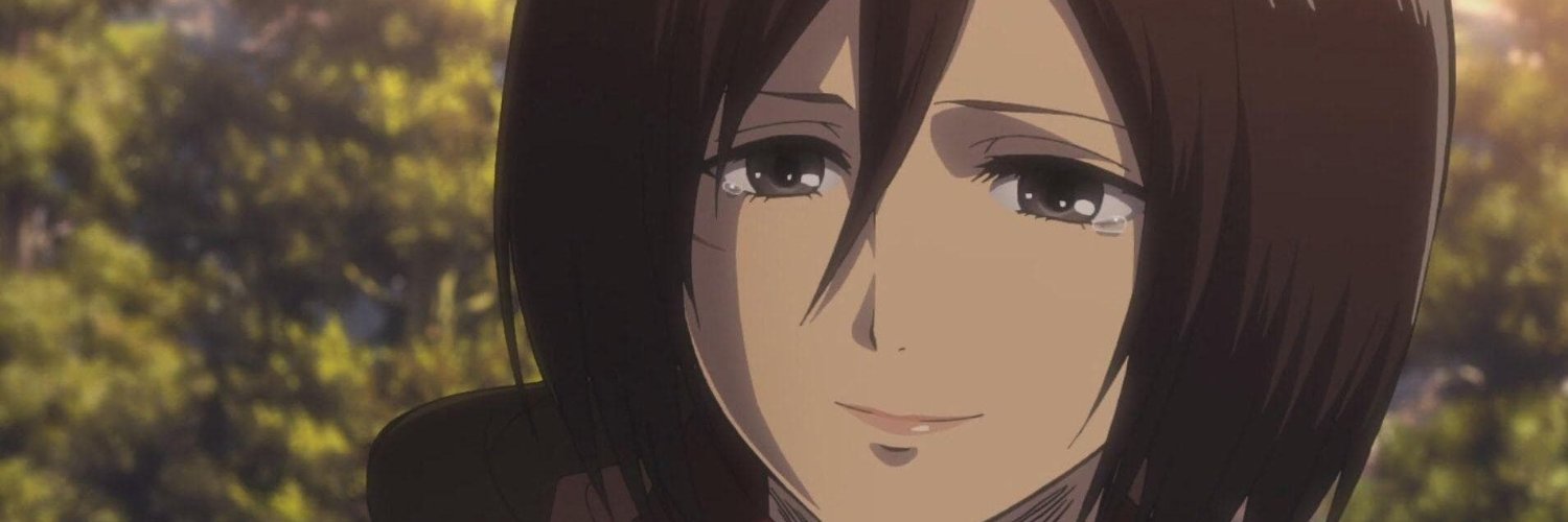 Mikasa banner