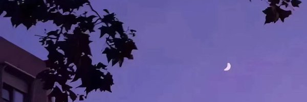 crypto_azh Profile Banner