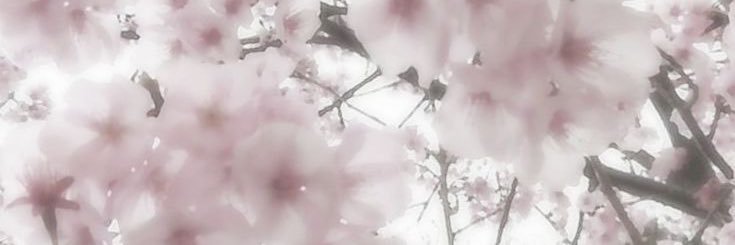 melochiis's profile banner image
