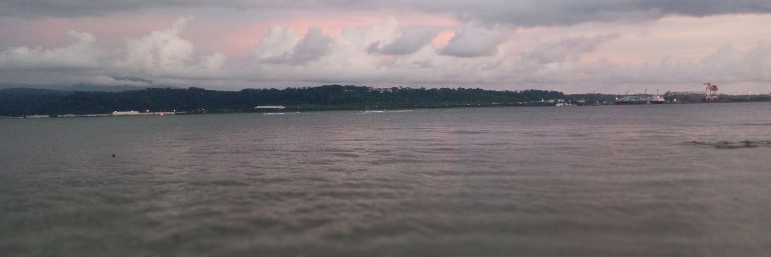 dlanor01's profile banner image