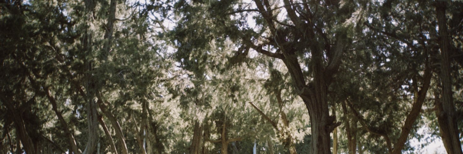 r banner
