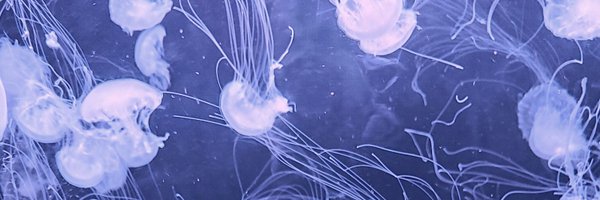 uykrinql Profile Banner