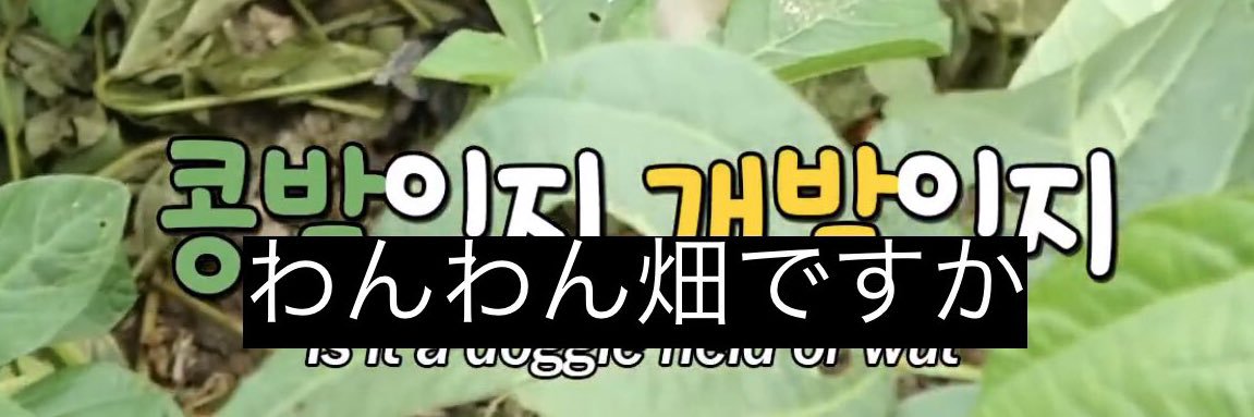 sousiyou's profile banner image