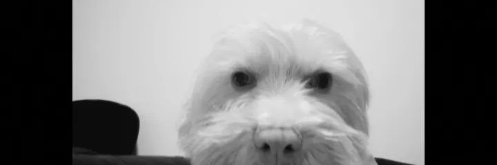 Iamdaniela5's profile banner image