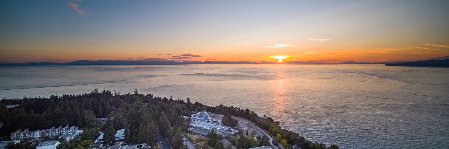 Vision: Molecules, Behaviour, Society banner