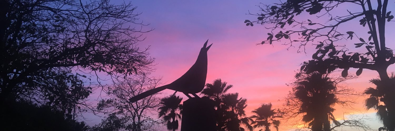 TefyH19's profile banner image