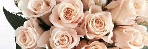 Ladybir42lez42's profile banner image
