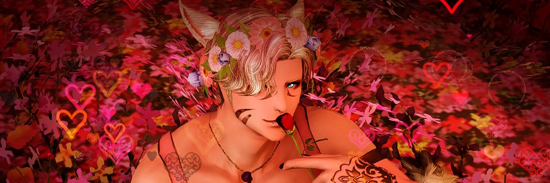 DarkXCat banner