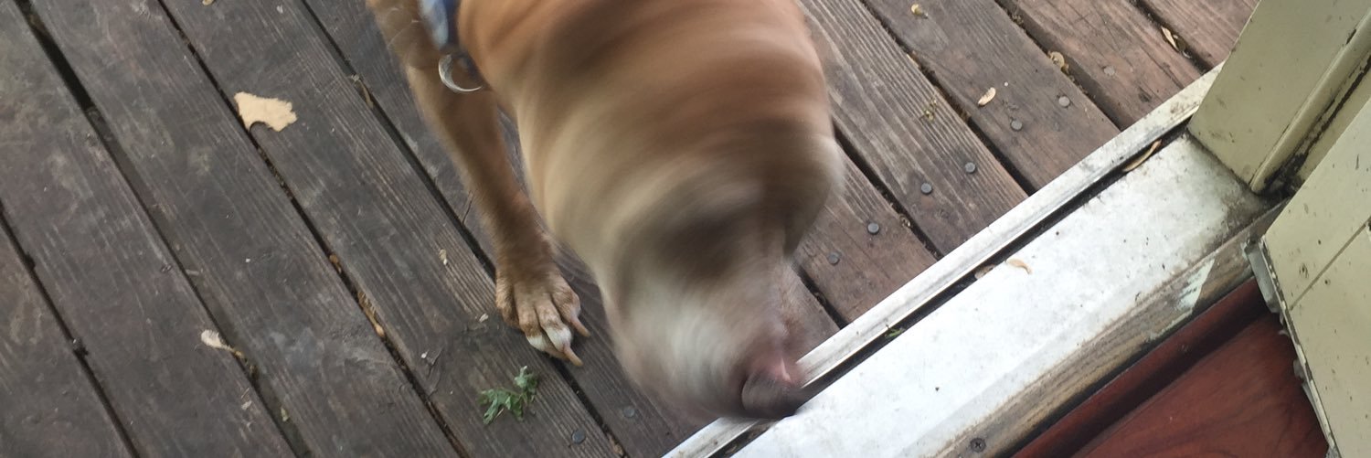 SnuffDaddy's profile banner image